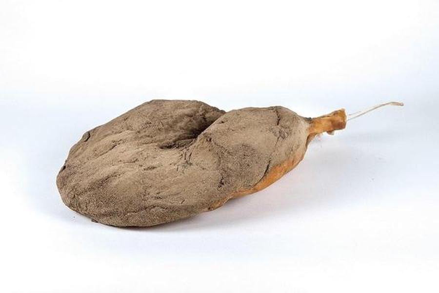 Coscia di maiale stagionata senza osso 6,5Kg - Salumeria Toscana Coscia di maiale stagionata senza osso 6,5KgSalumeria ToscanaSalumeria Toscana Prosciutto crudo disossatoCoscia di maiale stagionata senza osso 6,5Kg - Salumeria Toscana - cinta senese, crudo toscano, pepatello, Prosciutto, Prosciutto crudo, Prosciutto disossato, prosciutto toscano, prosciutto toscano online, sgambato