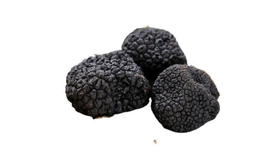 Tartufo Nero Estivo Toscano - Salumeria Toscana Tartufo Nero Estivo ToscanoSalumeria ToscanaSalumeria Toscana Tartufo Nero Estivotartufo nero, tartufo estivo, tartufo toscano, vendita tartufi toscani, tartufi neri online